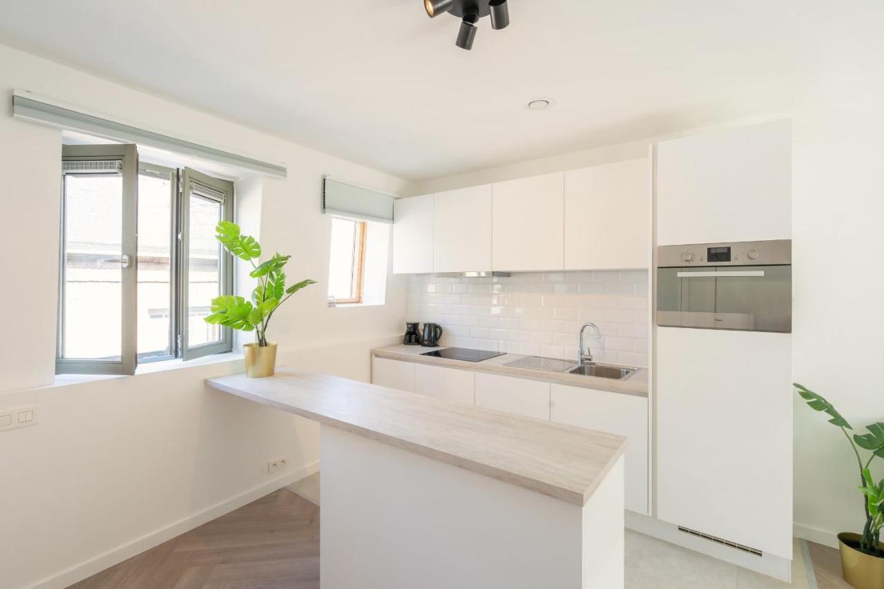 Centre Loft Appartement Anvers